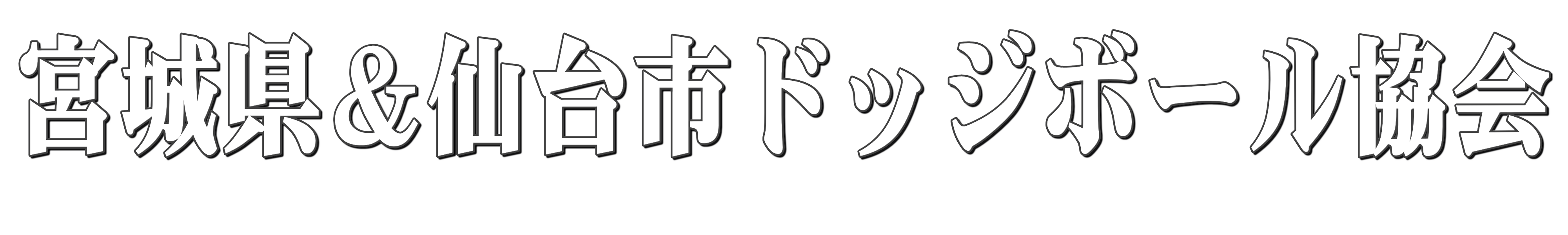 宮城県＆仙台市ドッジボール協会